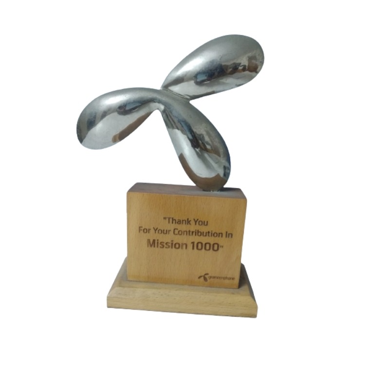 awards (1)
